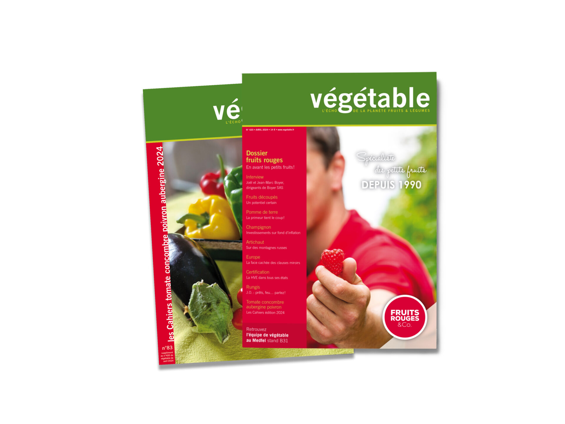 Végétable Avril 2024 N°420 Végétable Le Magazine De La Filière Fruits Et Légumes 3496